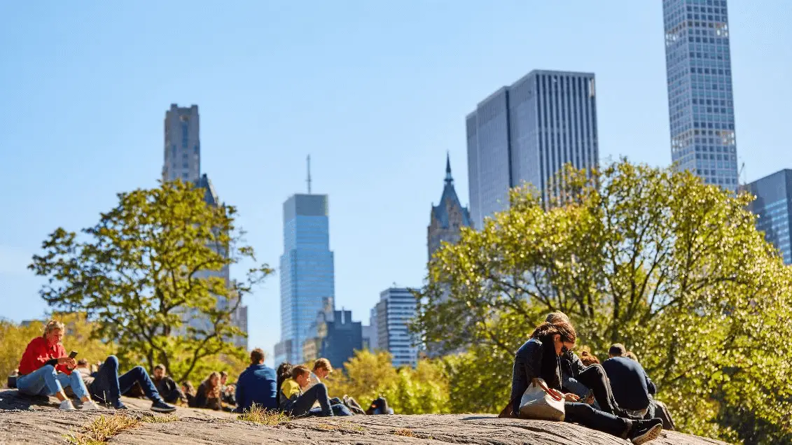 View of a city skyline from a park