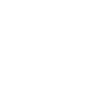 Inclusivity icon