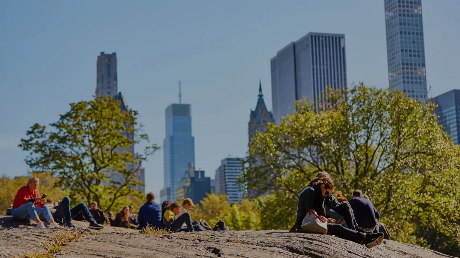View of a city skyline from a park